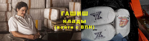 гидра Магас