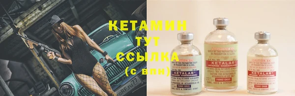 гидра Майский