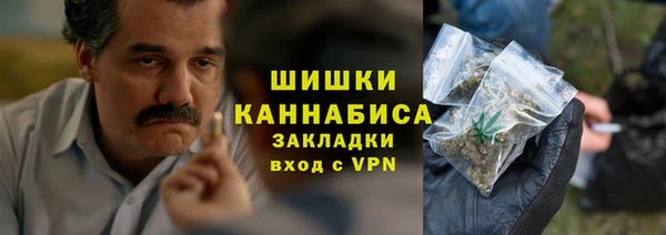 гидра Магас