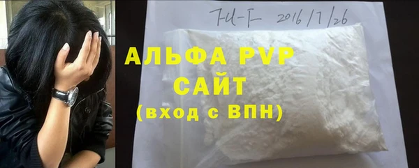 гидра Майский