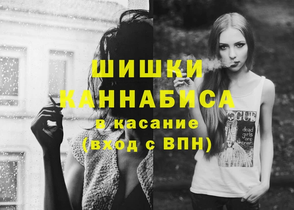 гидра Магас