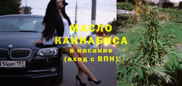 гидра Магас