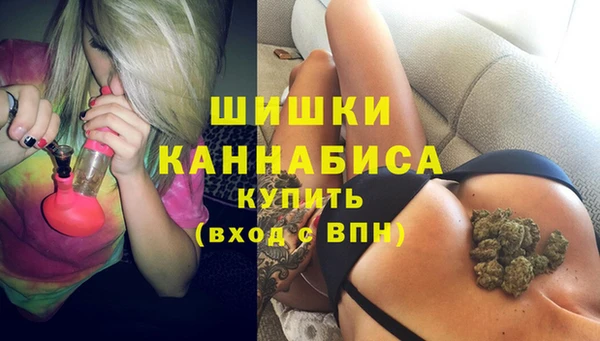 гидра Майский