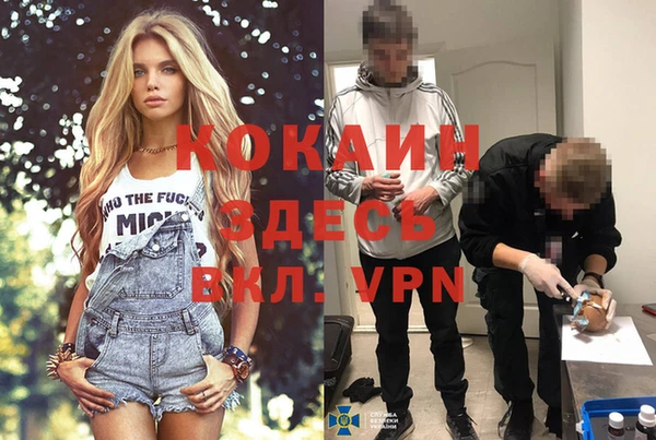 гидра Магас